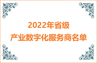 2022年省級產業數字化服務商